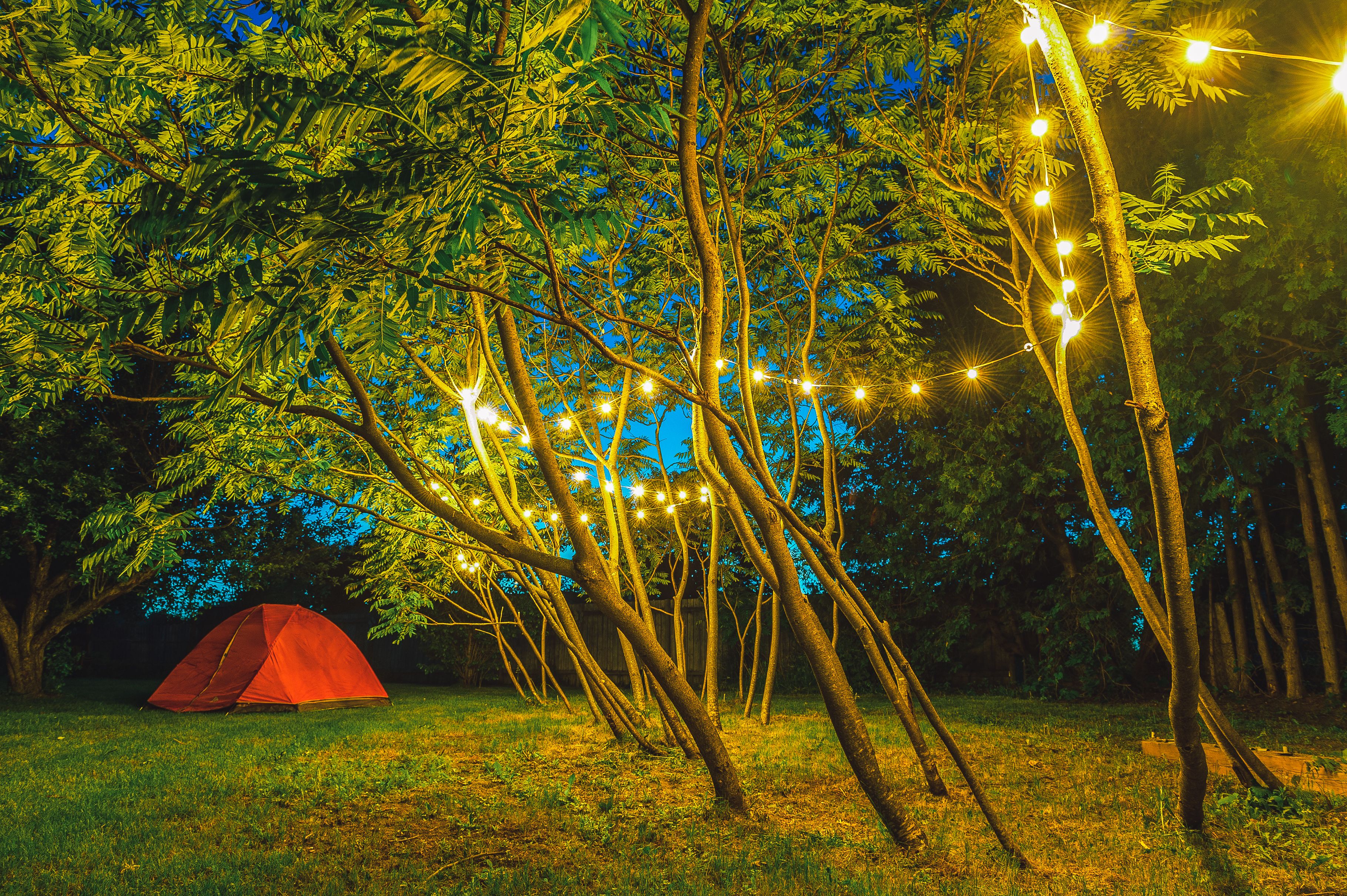 Beautiful camping scenery at Anvil Campground